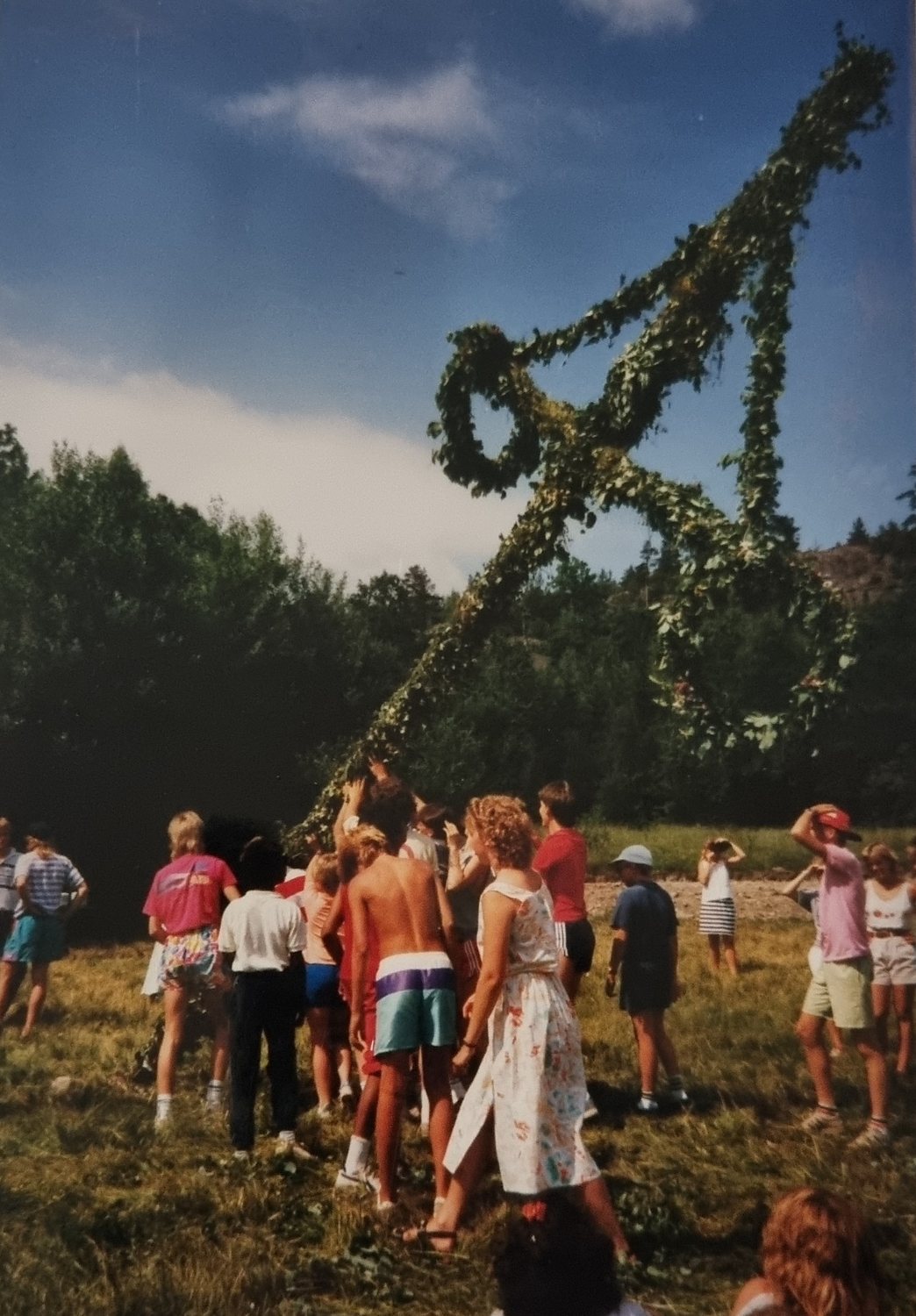 Midsommarstången reses.